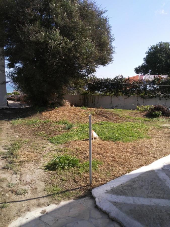 Dimitris Apartments Messongi 梅松吉 外观 照片